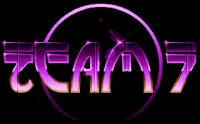 Team 17 Digital logo