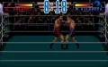 3D World Boxing zmenšenina #4