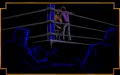 3D World Boxing vignette #7