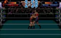 3D World Boxing vignette #11