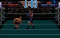 3D World Boxing vignette #12