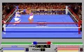 4D Sports Boxing miniatura #4