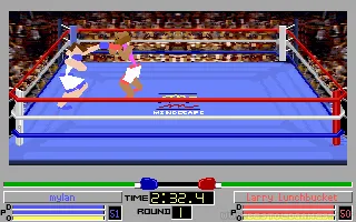 4D Sports Boxing screenshot 4