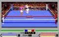 4D Sports Boxing miniatura #5