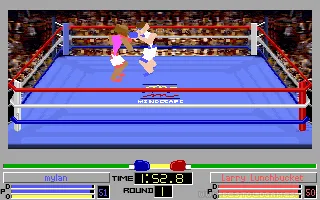 4D Sports Boxing screenshot