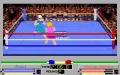 4D Sports Boxing vignette #6