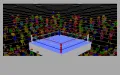 4D Sports Boxing Miniaturansicht #9