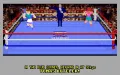 4D Sports Boxing vignette #10