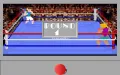 4D Sports Boxing miniatura #11