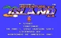 Adventure Island 2 zmenšenina #1