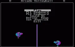 Arcade Volleyball vignette
