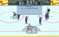 Brett Hull Hockey '95 zmenšenina #5