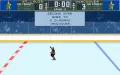 Brett Hull Hockey '95 vignette #11
