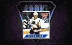Brett Hull Hockey '95 vignette