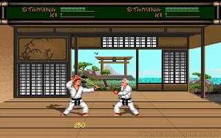 Budokan: The Martial Spirit screenshot 5