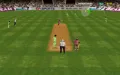 Cricket 97 vignette #5