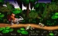Donkey Kong Country vignette #3