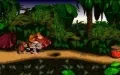 Donkey Kong Country vignette #6