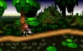 Donkey Kong Country vignette #11