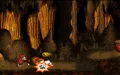 Donkey Kong Country vignette #12
