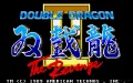 Double Dragon II: The Revenge zmenšenina #1