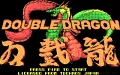 Double Dragon zmenšenina #1