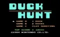 Duck Hunt vignette #1
