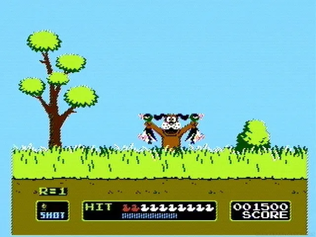 Duck Hunt 