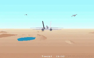F-14 Tomcat Screenshot