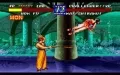 Fatal Fury 3: Road to the Final Victory vignette #3