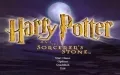 Harry Potter and the Sorcerer's Stone vignette #1