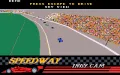Indianapolis 500: The Simulation zmenšenina #8