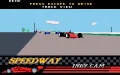 Indianapolis 500: The Simulation zmenšenina #9