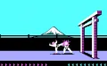 Karateka Miniaturansicht 5