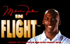 Michael Jordan in Flight vignette