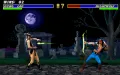 Mortal Kombat 3 zmenšenina #9