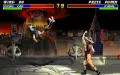 Mortal Kombat 3 vignette #11