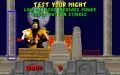 Mortal Kombat thumbnail #11