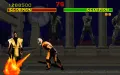 Mortal Kombat vignette #12