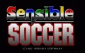 Sensible Soccer zmenšenina 1