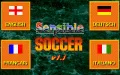 Sensible Soccer zmenšenina #2