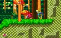 Sonic & Knuckles zmenšenina #5