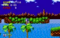 Sonic the Hedgehog vignette #9