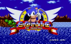 Sonic the Hedgehog vignette
