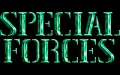 Special Forces vignette #1