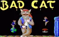 Street Cat (Bad Cat) vignette #1