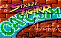 Street Fighter vignette #1