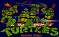 Teenage Mutant Ninja Turtles: Manhattan Missions zmenšenina #1