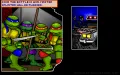 Teenage Mutant Ninja Turtles: Manhattan Missions zmenšenina #8