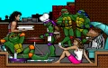 Teenage Mutant Ninja Turtles: Manhattan Missions zmenšenina #14
